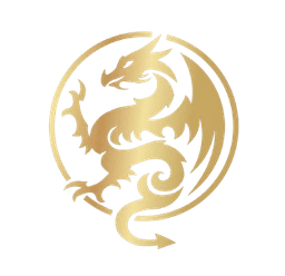 Meridian dragon medallion