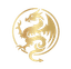Meridian dragon medallion