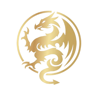 Meridian dragon medallion