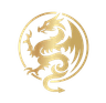 Meridian dragon medallion